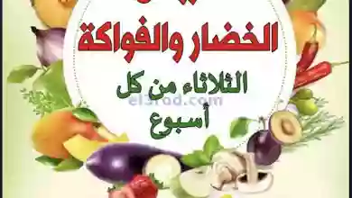 el3rod.com00005-340