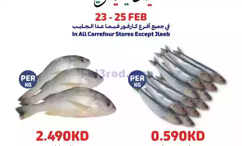 el3rod.com00005-651