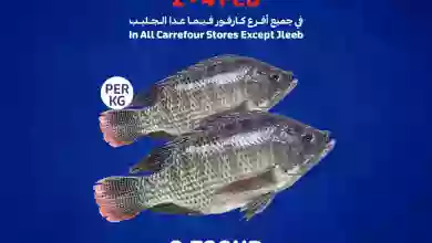el3rod.com00006-37