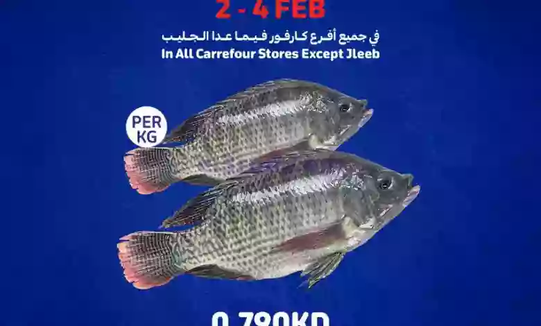 el3rod.com00006-37