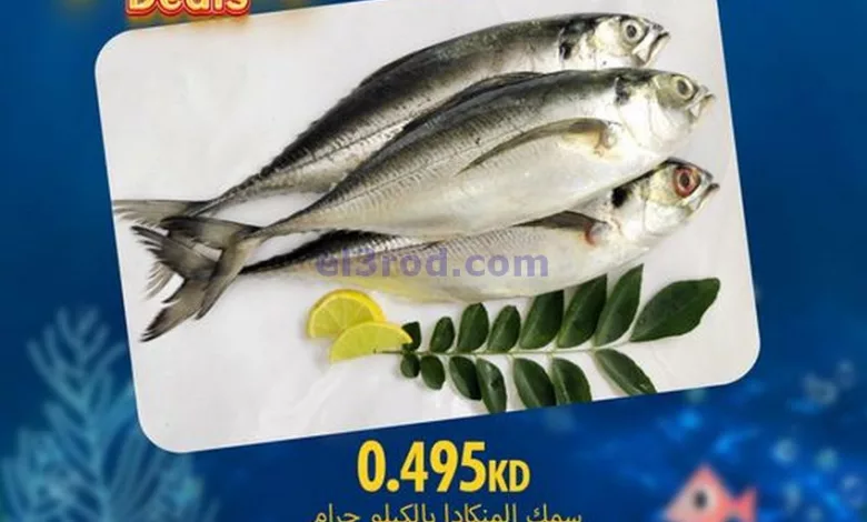 el3rod.com00001-1038