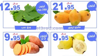 el3rod.com00001-1067