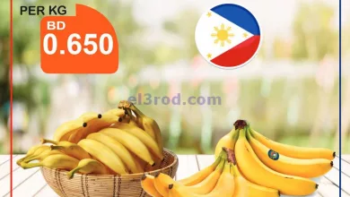el3rod.com00001-1146