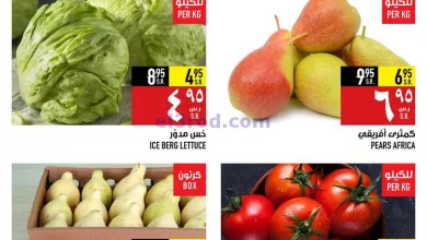 el3rod.com00001-1259