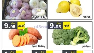 el3rod.com00001-1274