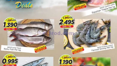 el3rod.com00001-1491