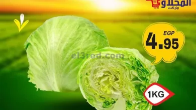 عروض المحلاوى هايبر ماركت مصر|31-3 حتى 1-4-2023 el3rod.com00001-1595