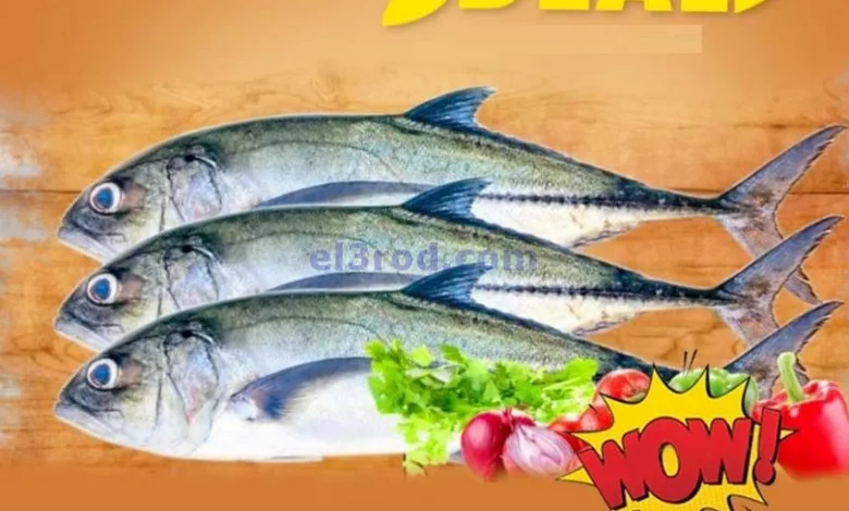 el3rod.com00001-204