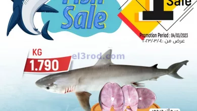 el3rod.com00001-229