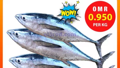 el3rod.com00001-330