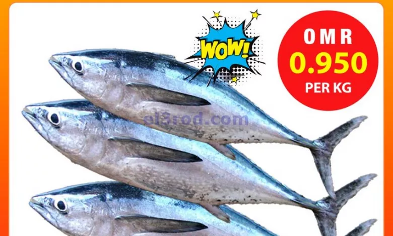 el3rod.com00001-330