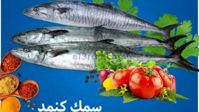 el3rod.com00001-332