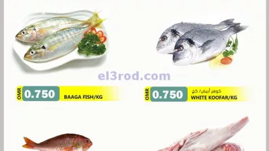 el3rod.com00001-337