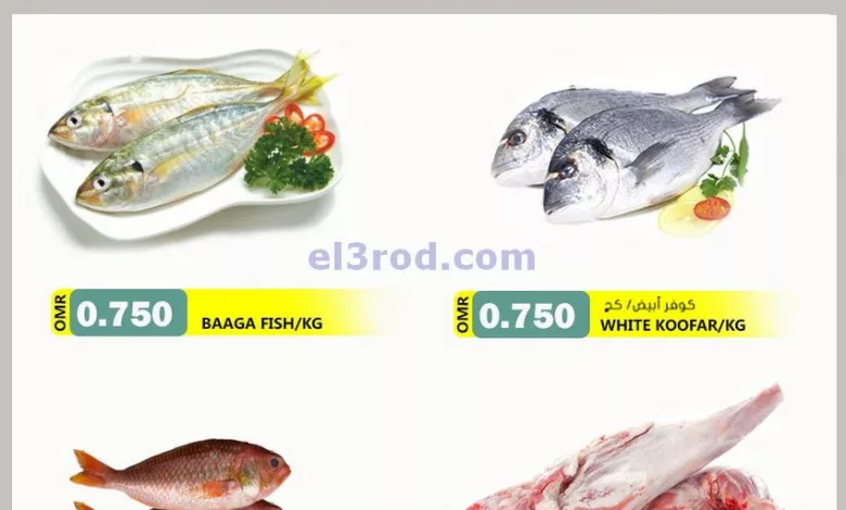 el3rod.com00001-337