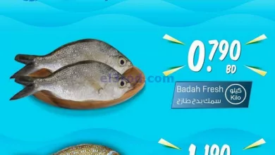 el3rod.com00001-351