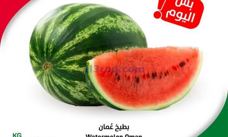 el3rod.com00001-596