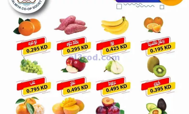 el3rod.com00001-627