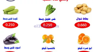el3rod.com00001-629