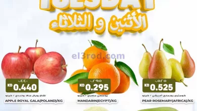 el3rod.com00001-722