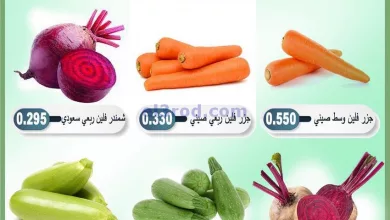 el3rod.com00001-858