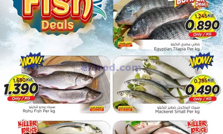 el3rod.com00001-905