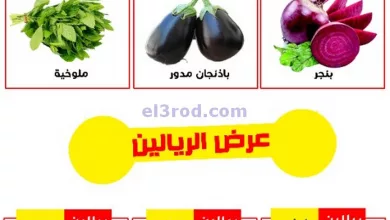 el3rod.com00001-931