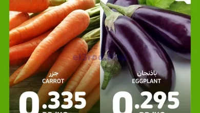 el3rod.com00002-1293