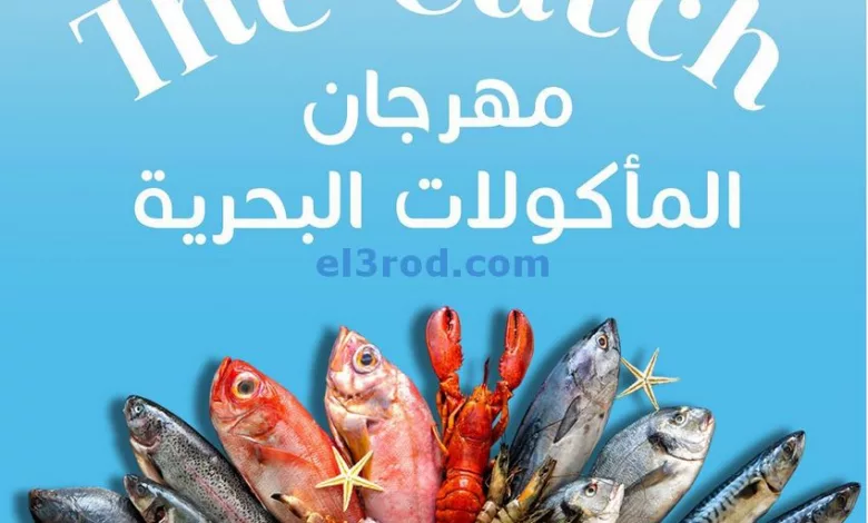 el3rod.com00004-544