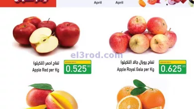 el3rod.com00001-1140
