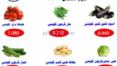 el3rod.com00001-1144