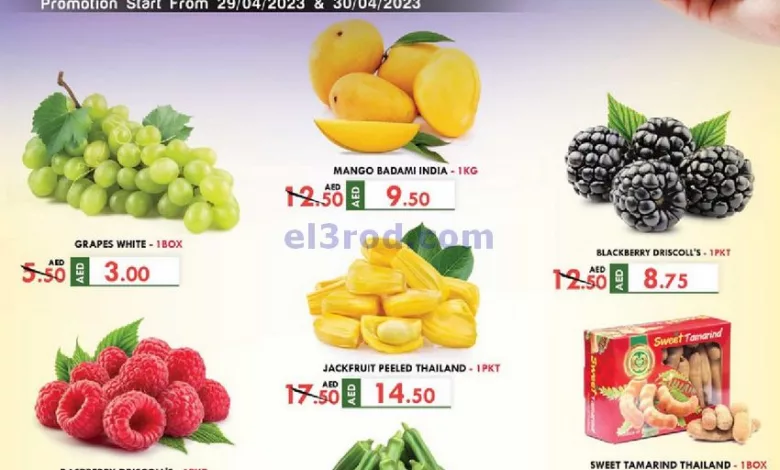 el3rod.com00001-1241