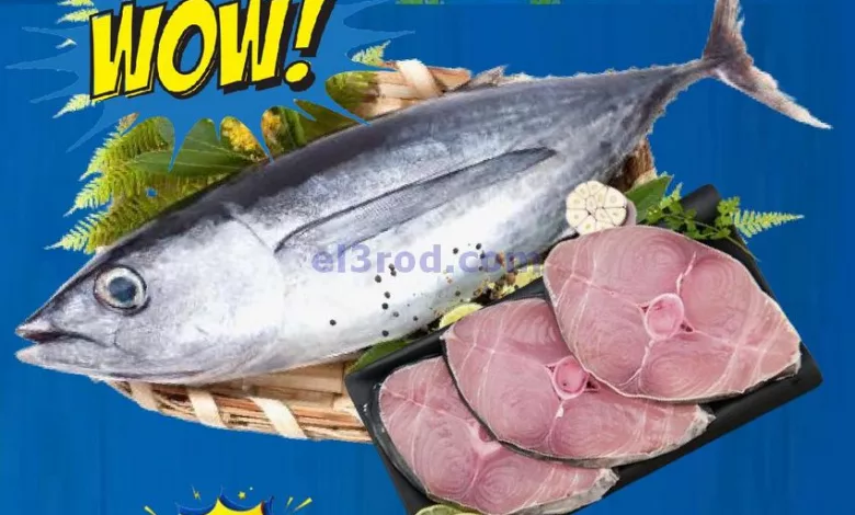 el3rod.com00001-1251