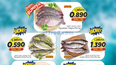 el3rod.com00001-296