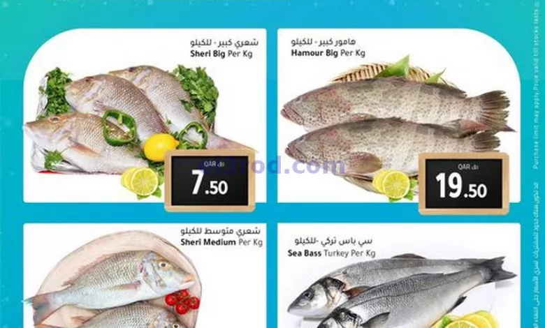 el3rod.com00001-359