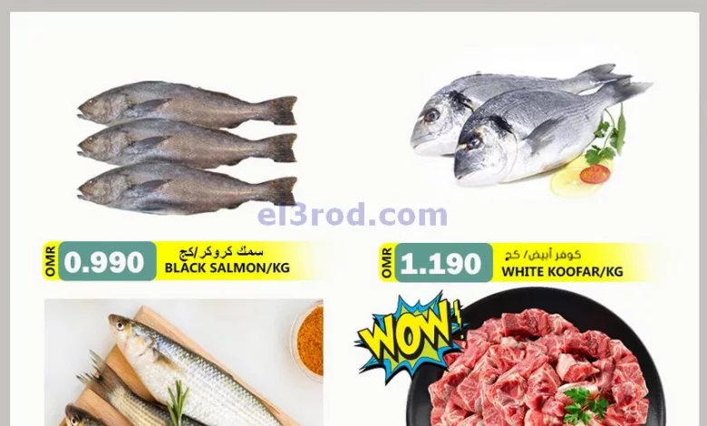 el3rod.com00001-61