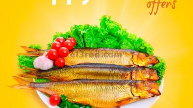 el3rod.com00001-628