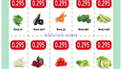 el3rod.com00001-889
