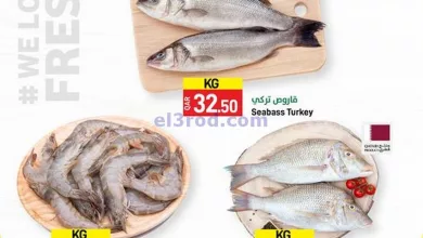 el3rod.com00001-995
