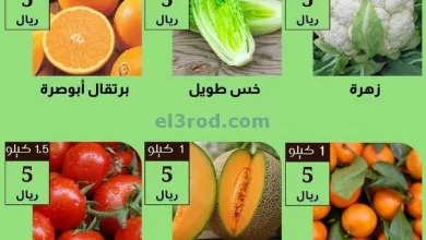 el3rod.com00002-522