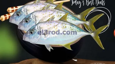 el3rod.com00001-1206