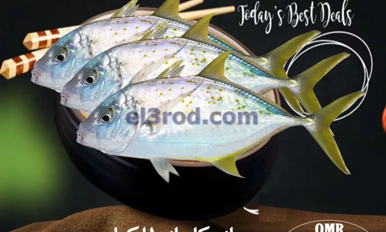 el3rod.com00001-1206