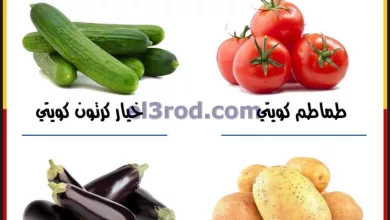 el3rod.com00001-1265