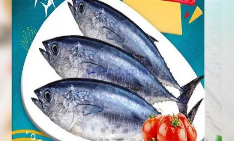 el3rod.com00001-149