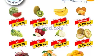 el3rod.com00001-254
