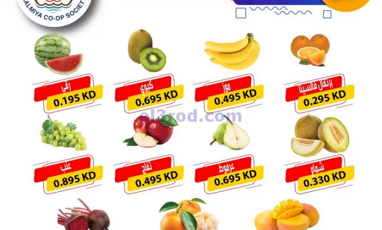 el3rod.com00001-254
