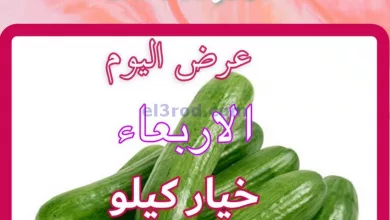 el3rod.com00001-453