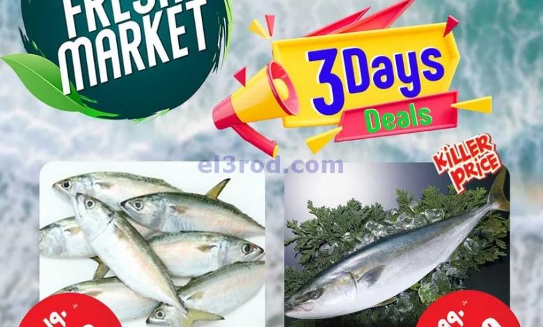 el3rod.com00001-519