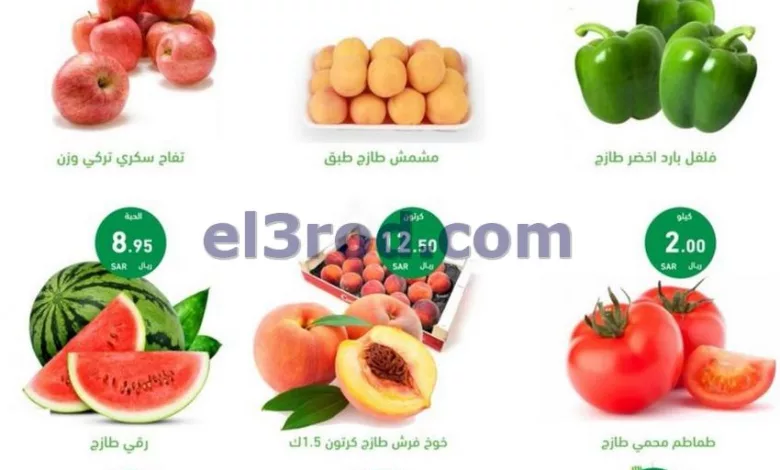 el3rod.com00001-556