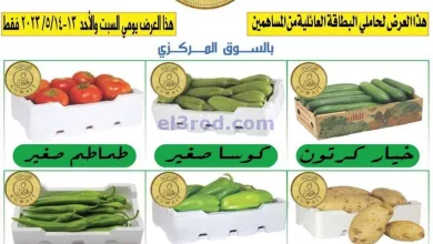عروض عرفة فون البحرين|14-5-2023 el3rod.com00001-603