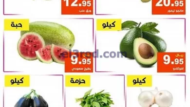 el3rod.com00001-629
